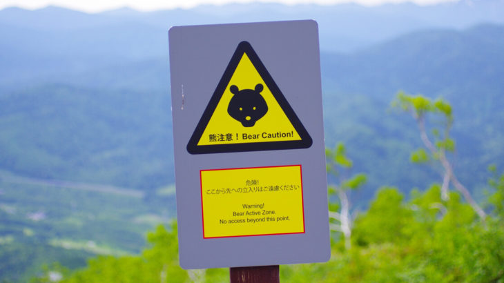 きみまち阪県立自然公園内にて熊の目撃情報が報告されてる！