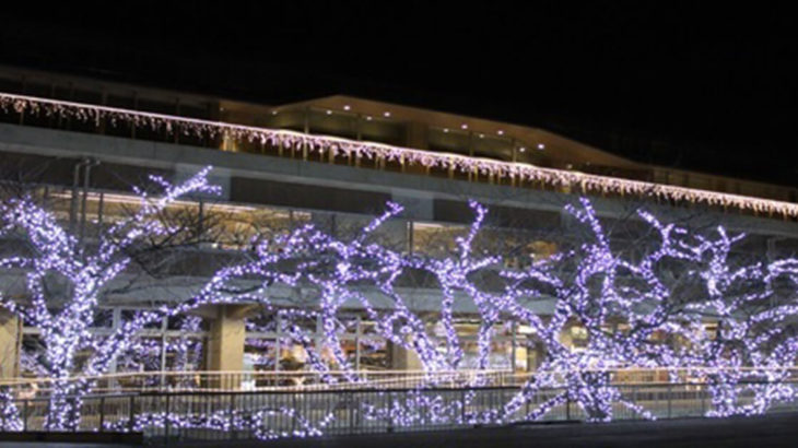 【12月1日〜】能代市役所さくら庭でイルミネーションが点灯するみたい！