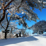 【2月23日】きみまち阪の雪原を歩く「かんじき自然観察会」が開催されるみたい！