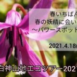 【4月18日】春いちばん！七座山でエコツアーが開催されるみたい！
