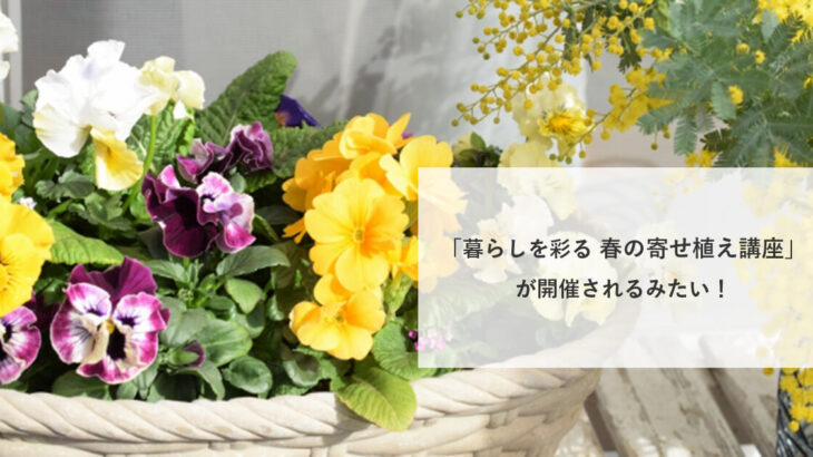 【4月13日】能代市中央公民館で「暮らしを彩る 春の寄せ植え講座」が開催されるみたい！