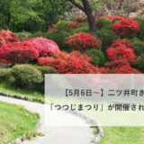 【5月6日〜】二ツ井町きみまち阪で「つつじまつり」が開催されているみたい！