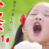 【能代市二ツ井】10月9日・10日に道の駅ふたついで「新米祭」が開催されるみたい！
