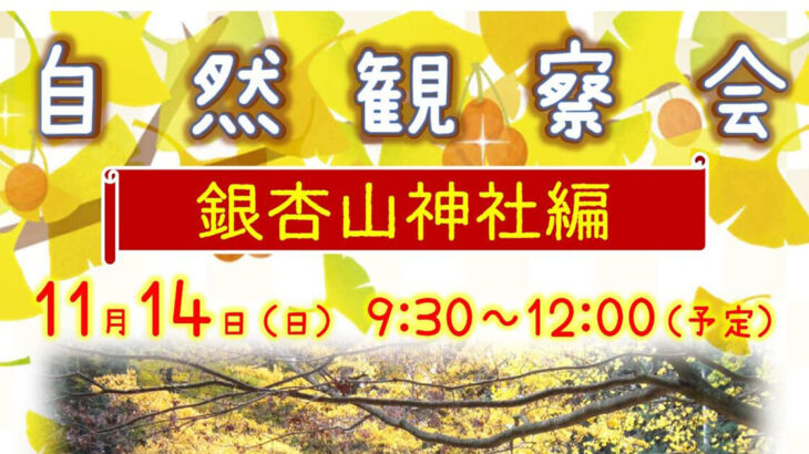 【11月14日】二ツ井町で「自然観察会（銀杏山神社編）」が開催されるみたい！