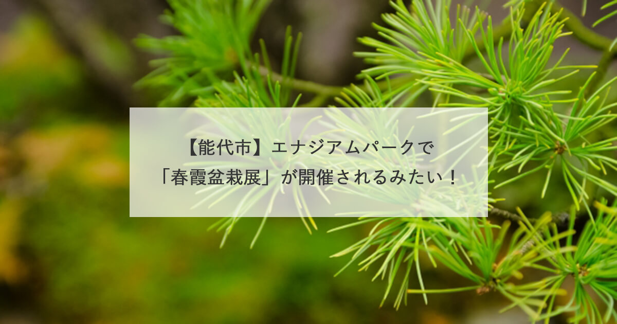 【能代市】エナジアムパークで「春霞盆栽展」が開催されるみたい！