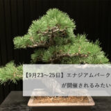 【9月23〜25日】エナジアムパークで「名月盆栽展」が開催されるみたい！