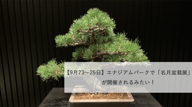 【9月23〜25日】エナジアムパークで「名月盆栽展」が開催されるみたい！