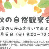 【11月6日】二ツ井町で「秋の自然観察会〜紅葉の七座山を歩いてみよう〜」が開催されるみたい！