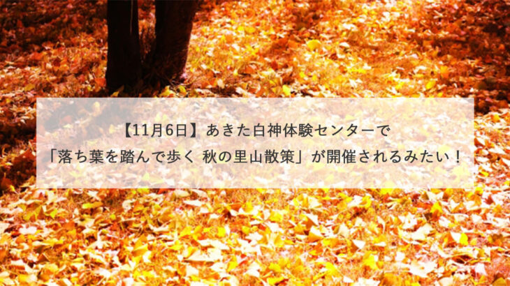【11月6日】あきた白神体験センターで「落ち葉を踏んで歩く 秋の里山散策」が開催されるみたい！