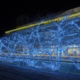 【12月1日〜】能代市役所さくら庭、二ツ井町庁舎前樹木でイルミネーションが点灯するみたい！