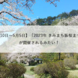 【4月10日〜5月5日】「2023年 きみまち阪桜まつり」が開催されるみたい！