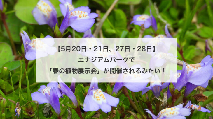 【5月20日・21日、27日・28日】能代エナジアムパークで「春の植物展示会」が開催されるみたい！