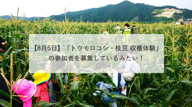 【8月5日】「トウモロコシ・枝豆 収穫体験」の参加者を募集しているみたい！