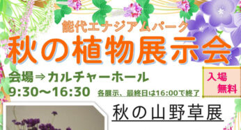 【11月5日まで】エナジアムパークで「秋の植物展示会」が開催されているみたい！