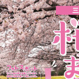 【4月14日】三種町の惣三郎沼公園で｢桜まつり｣が開催されるみたい！