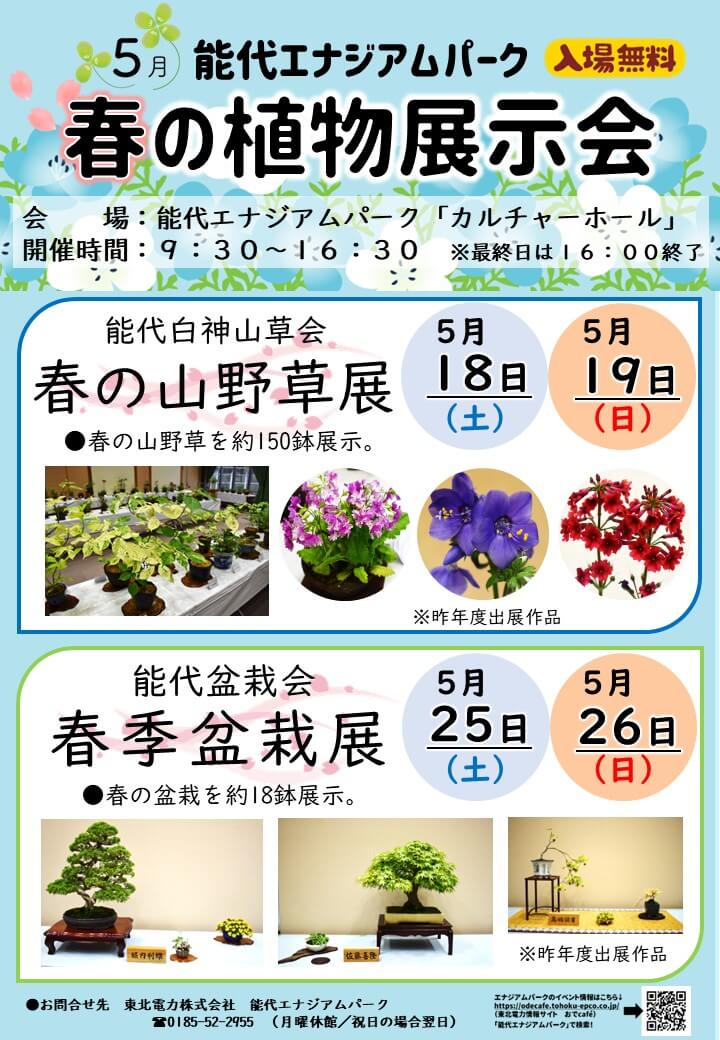 春の植物展示会